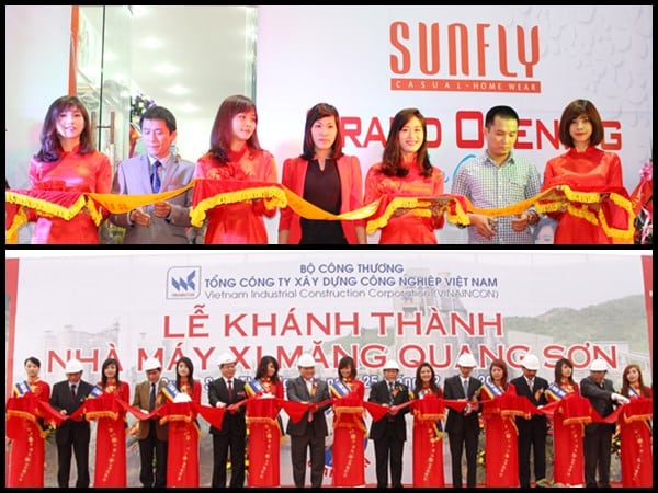 Tổ chức sự kiện, đào tạo, phát triển